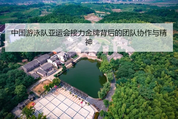 中国游泳队亚运会接力金牌背后的团队协作与精神